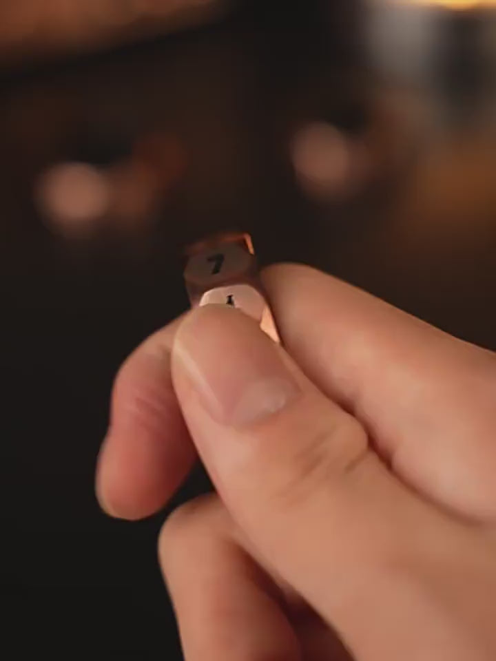 D12 Magnetic Fidget Ring